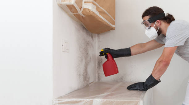 Professional Mold Inspection And Testing technician working in Peapack, NJ